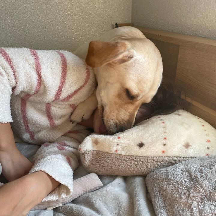 Ac9b1caf 638c 4e1a bc50 d69fe15627df 1670030569265