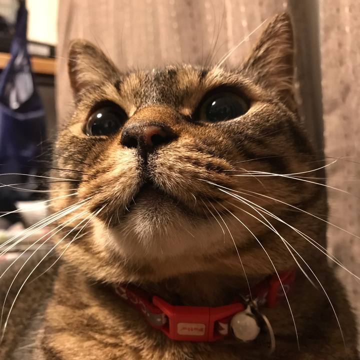 Ac9b5c46 c73c 43b2 901e c86e4324feb9 1662812428017