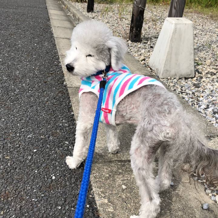 Ac9b682f fd09 4a5a bd06 ecdf8f0bdff2 1622342360559