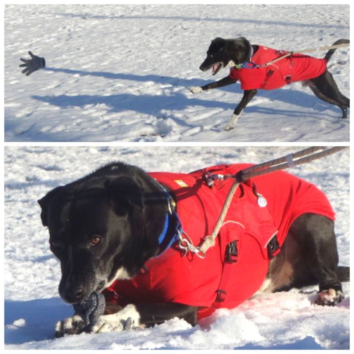 Ac9b7d52 b268 4246 bec3 e3068003327d 1676078434591