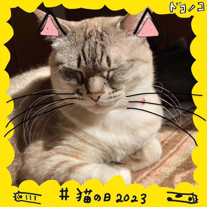 Ac9b8950 3e7d 44d3 a9ea ec6fa308771a 1677032219735