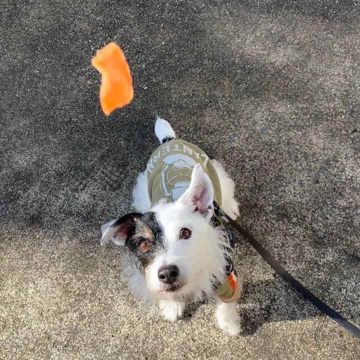 Ac9bb83b 1304 43b5 a3a9 38087ef7e6f0 1732667236132