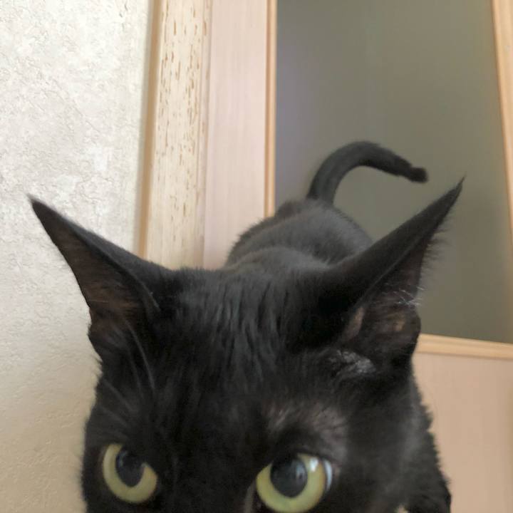 Ac9bf573 dc4f 4174 8233 5638fb0ad4d3 1621035184022