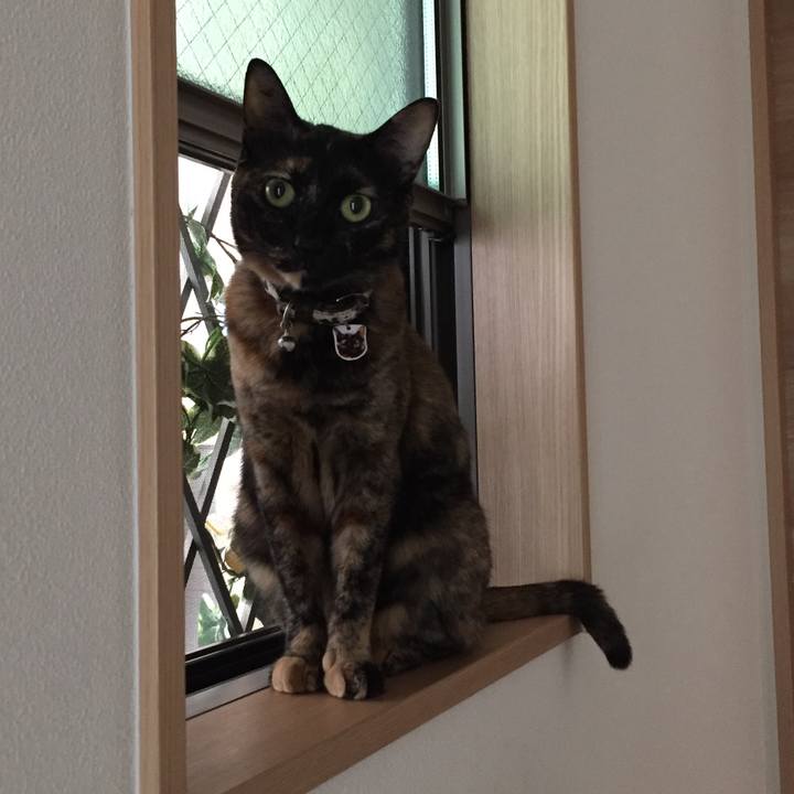 Ac9c0e33 6445 4efe 894c 16fa41179e04 1527475036126