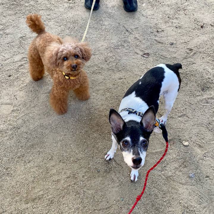 Ac9c1ea3 f338 489b aa87 8de11527998e 1630111339086