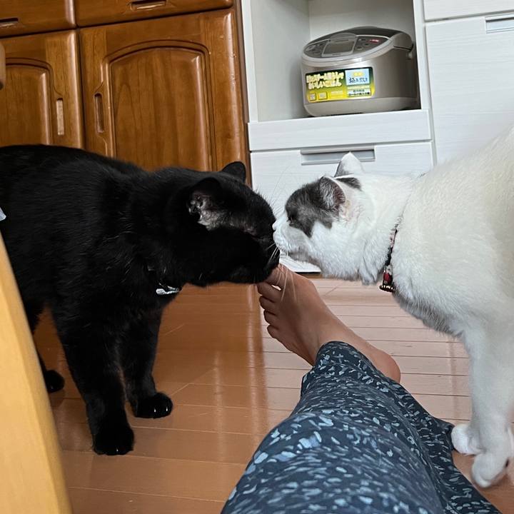 Ac9c47d4 19f4 4dbf 9bc0 6849c5bf4897 1691724127068