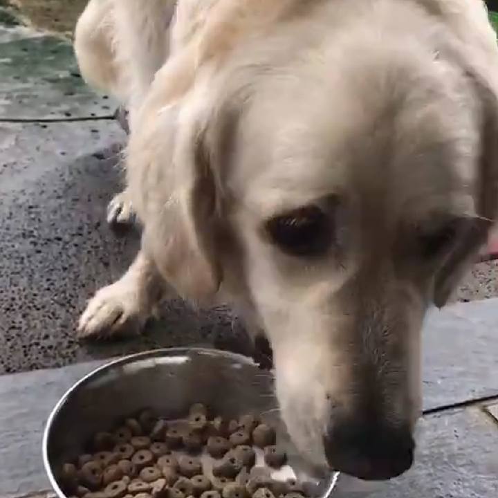 Ac9c49f9 b5b7 4462 9365 f7785a2dc96c 1568802402100