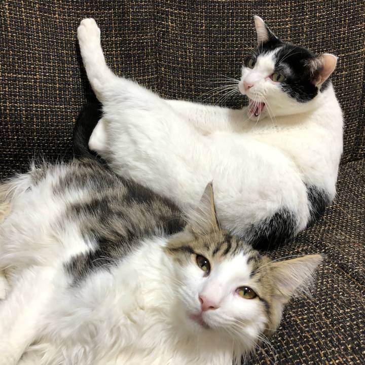 Ac9c6109 a1ba 4f6c 9e77 687b8bc7c2d4 1516433103837