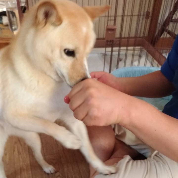 Ac9c61dd 8de5 44c5 a07f 874d457620a6 1567810500697