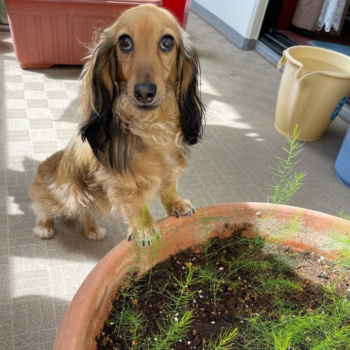 Ac9c8b15 cb38 429c 8463 ae8eaf82730e 1694316731100