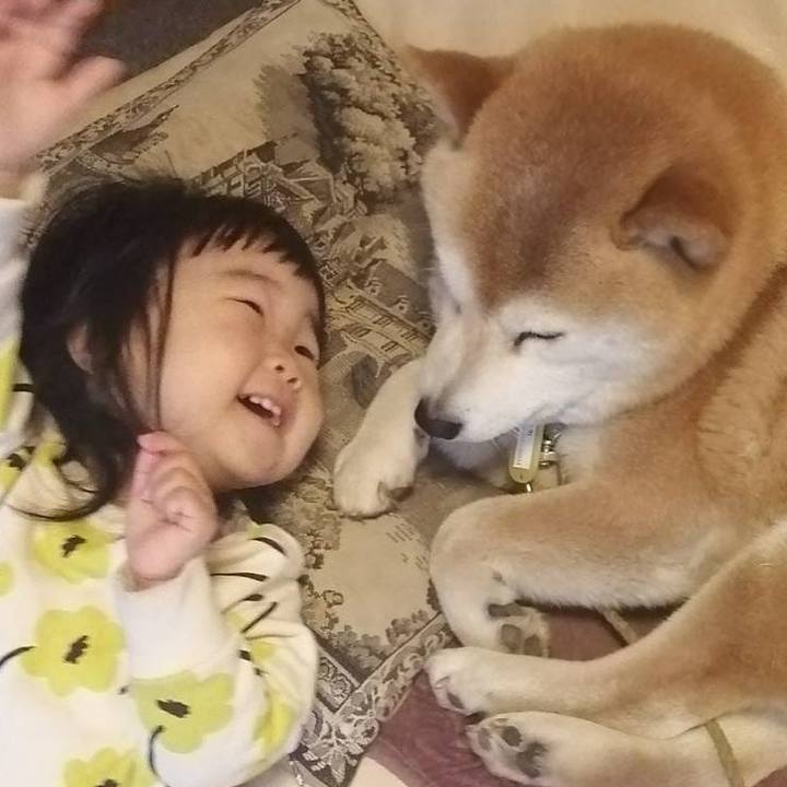 Ac9c8e58 3fb0 4419 b341 0a5f485502c5 1651365563539