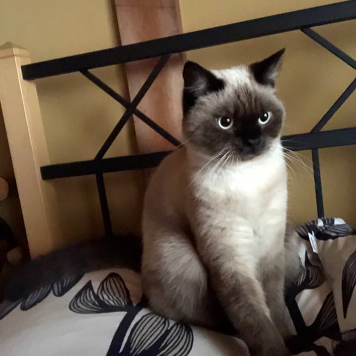 Ac9ce333 a4f3 4b1b 93bb d70c3430a6bf 1603931523908