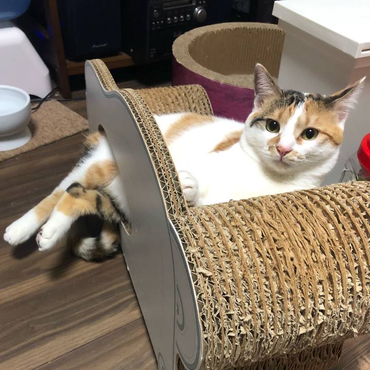 Ac9cfc02 8ffd 477c 8b0a af267c11e4fa 1585923571219