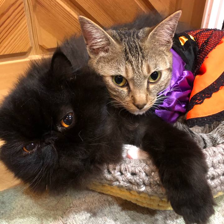 Ac9d0d9d ac79 4498 8903 64d09380b1c1 1603714956660