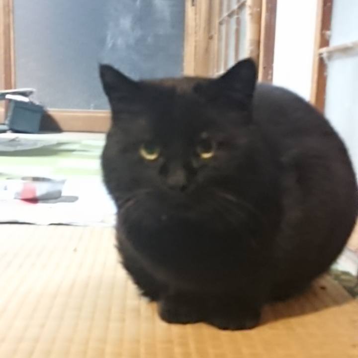 Ac9d189f da7c 4922 bb62 ab514951c4a7 1614341282047