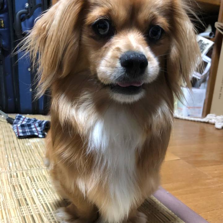 Ac9d46a9 71e5 4bc4 b2cb 1d701d205ff9 1525954473854