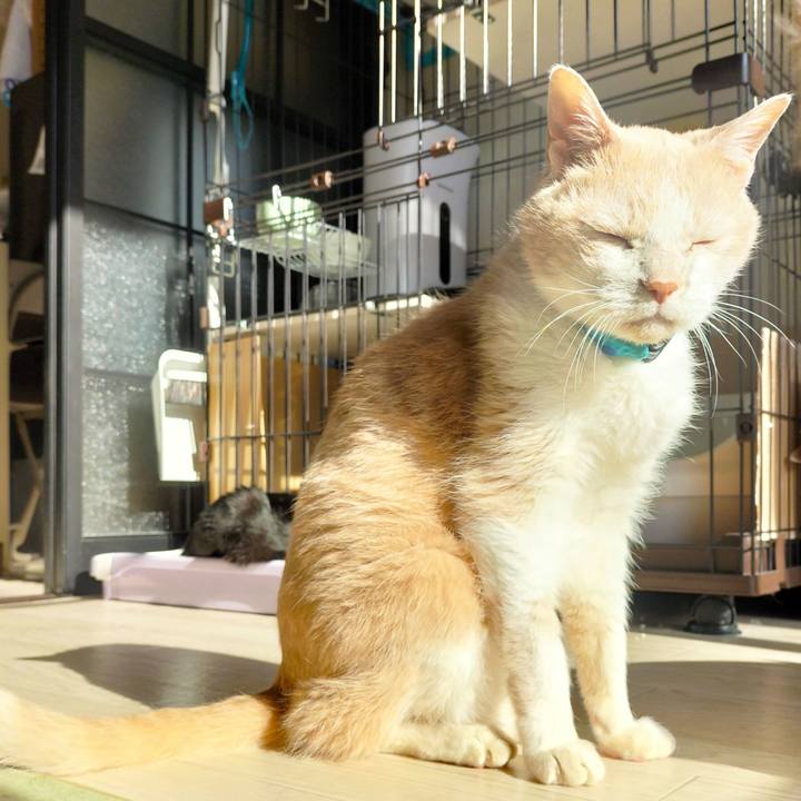 Ac9d52e0 d883 4fbb aa96 2564ffdd4ce5 1681080553550