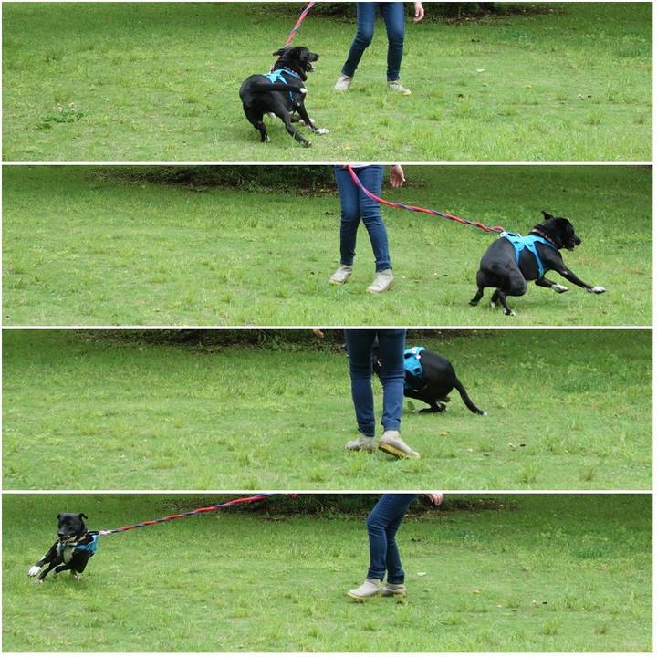 Ac9d58e8 8404 4ee9 8a90 41923c9ccc08 1621730439090