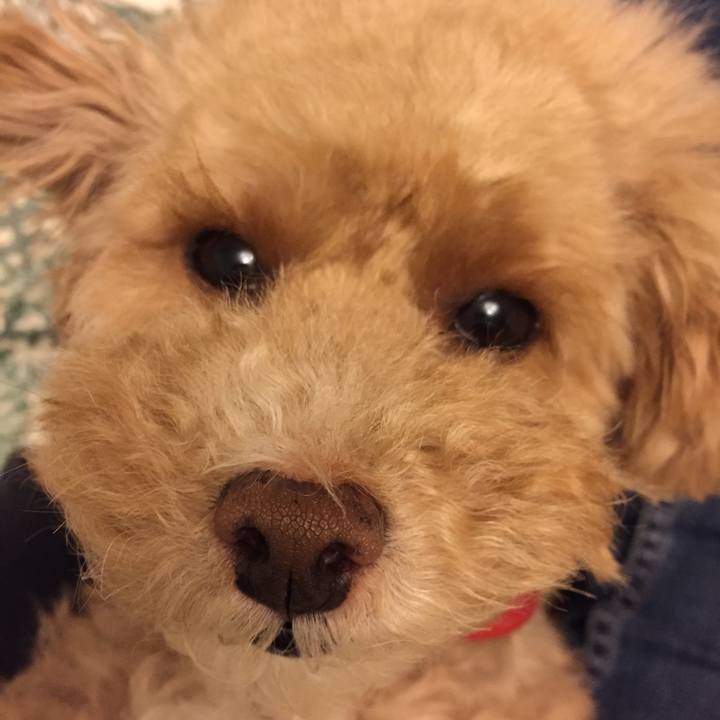 Ac9d75cf bfa6 477b 96da b121b8109276 1523485893259