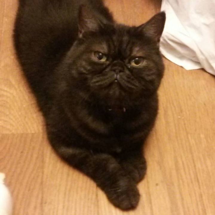 Ac9db4d7 f76a 4fb4 9167 c6ee70900825 1533421708056