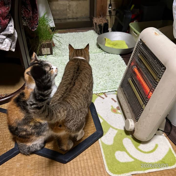 Ac9df2a5 296a 4c9a 8089 004b469c5539 1773965849583