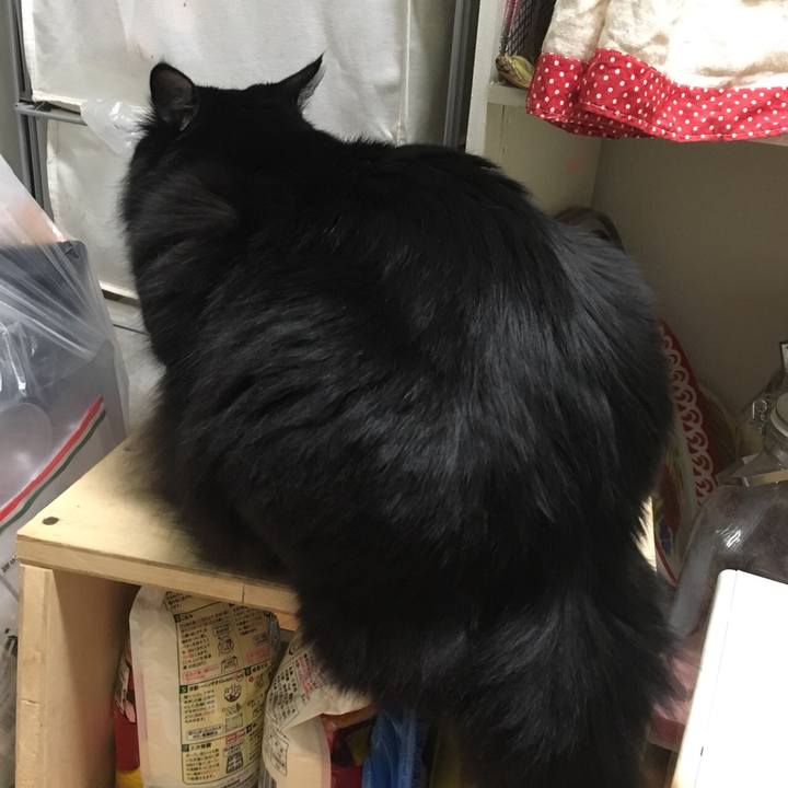 Ac9dfe53 5329 4530 8e58 e3a578ae6dad 1515235753955