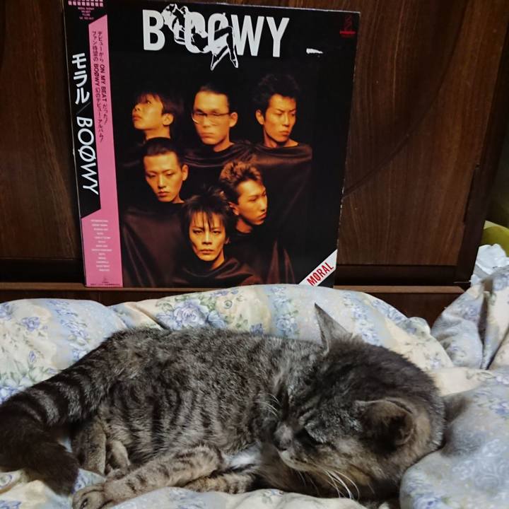 Ac9e2549 33bd 4228 8eb9 1be270610407 1591014863464