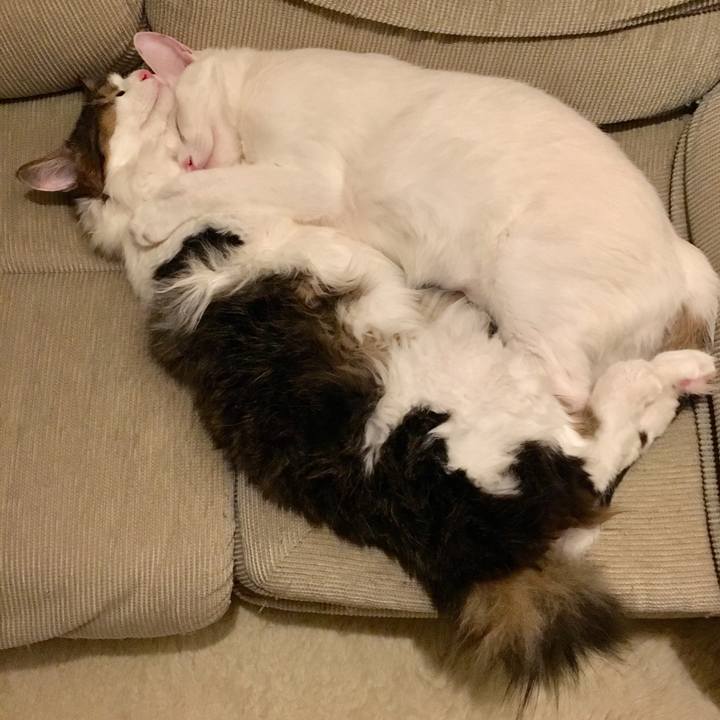 Ac9e26fe 352d 4259 8e1d 2c76a5337340 1508383373654