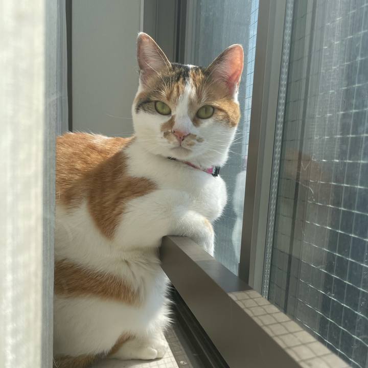 Ac9e6360 c051 44ab a58f 2a60055f0583 1651553006424