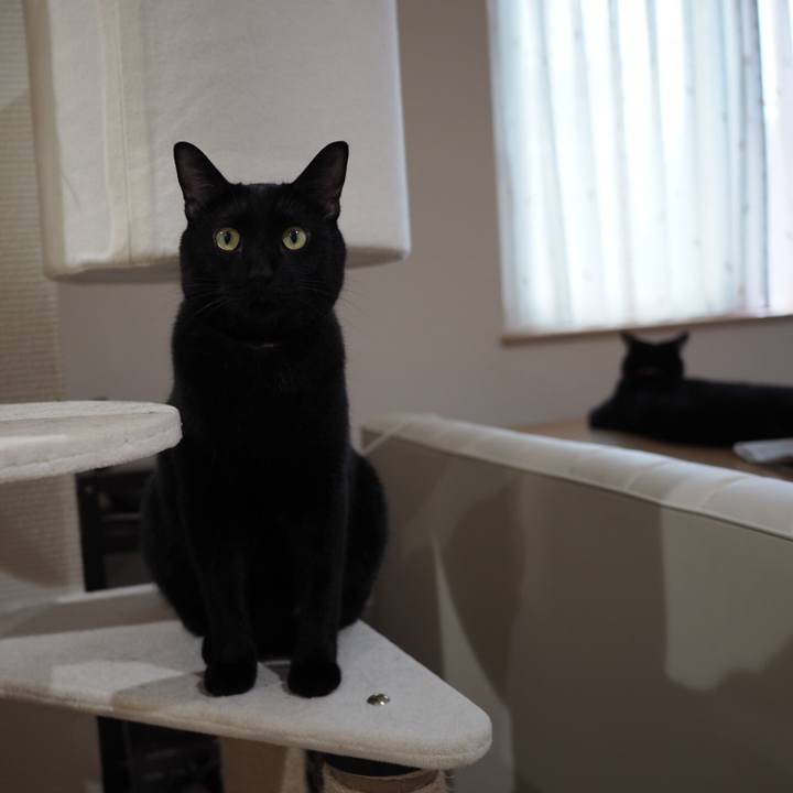 Ac9eead9 c2a6 4c1f 9e57 683e94d4c6f6 1536104917932