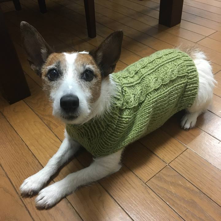 Ac9f280d d751 4d49 be42 5a508fe07759 1584231801425