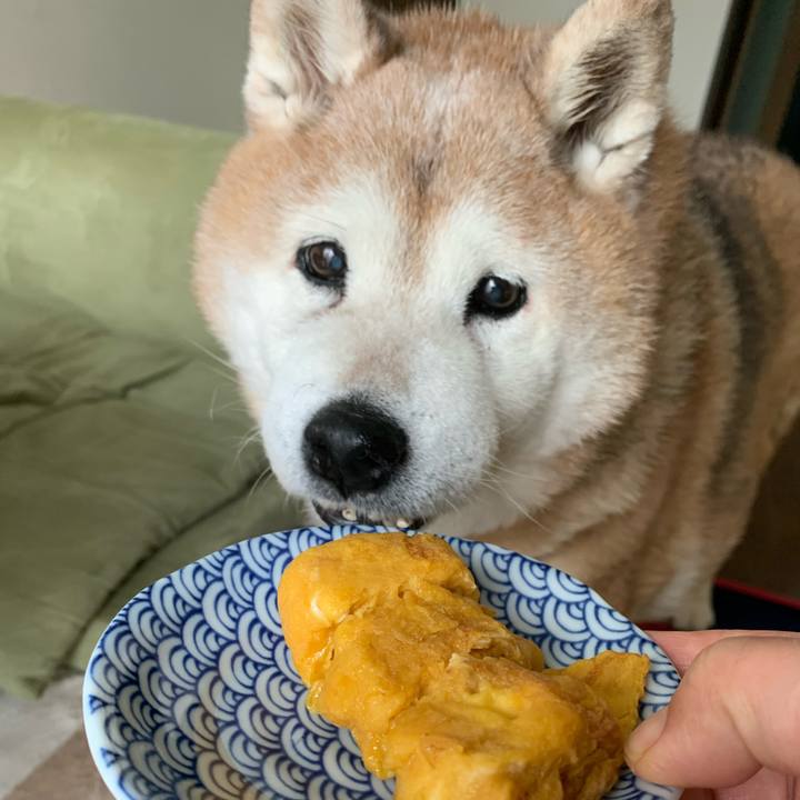 Ac9f4253 8b36 4f9a 864b c9921c84504a 1651386271060