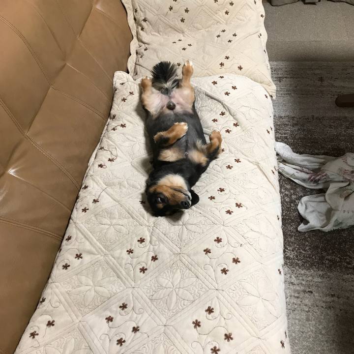 Ac9f5469 ab2c 4eca 97b0 6e142a8c6107 1509370209121