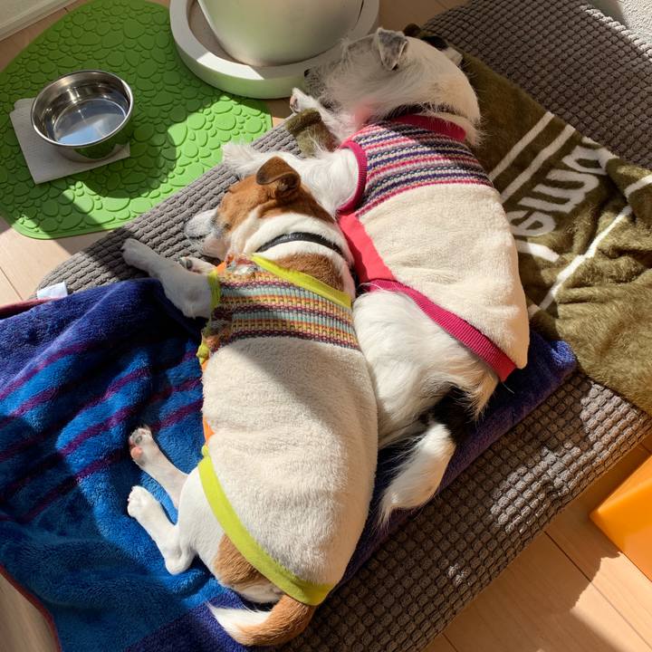 Ac9fbfa6 2986 43fd 81a3 f690d6d17ebe 1548731582455