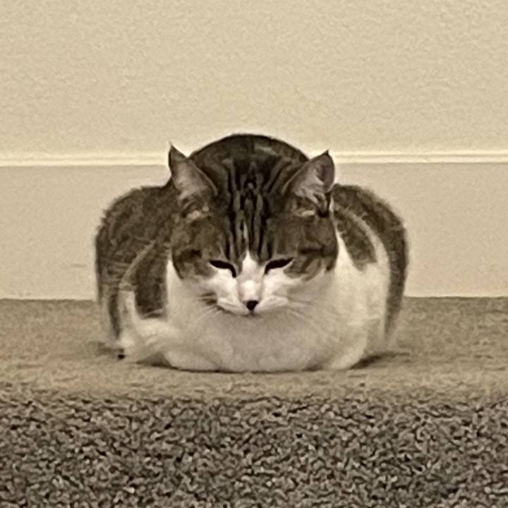 Ac9fc03c 0242 4121 ba72 57ff71652db4 1723424317476