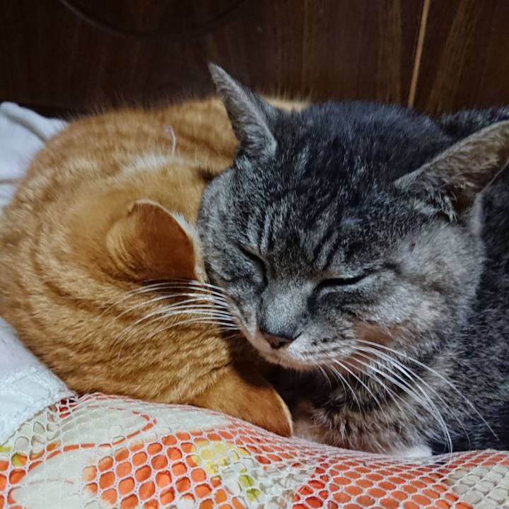 Ac9fd50d eba2 47b1 a0ce 2d996ac4a60a 1580903729086