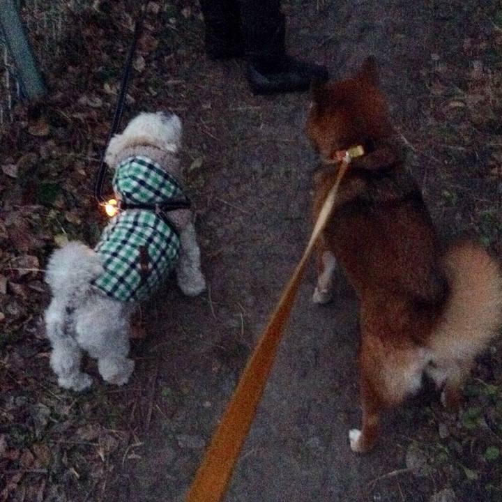 Ac9fd674 81c2 481a b108 898e29a11ecb 1515140487737