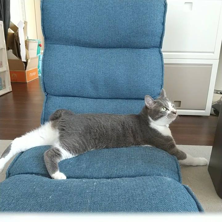 Aca00d74 a984 4834 87c0 a3c788cf59f4 1626653936341