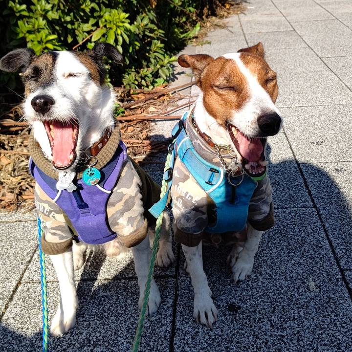 Aca045f5 8d95 4455 b9e6 cf78865a821b 1636850757443