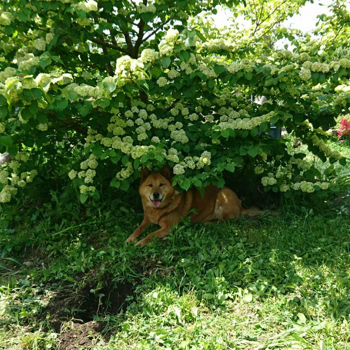 Aca0538b ef72 48cc abb9 d14e68204e69 1558147532461