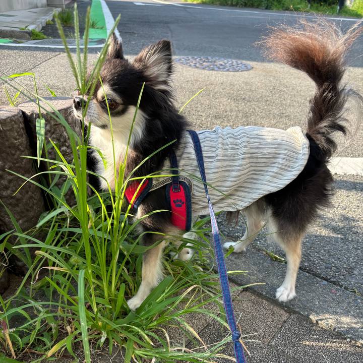 Aca05af4 989d 4d34 bcf6 044f7a20cb5f 1721490724316