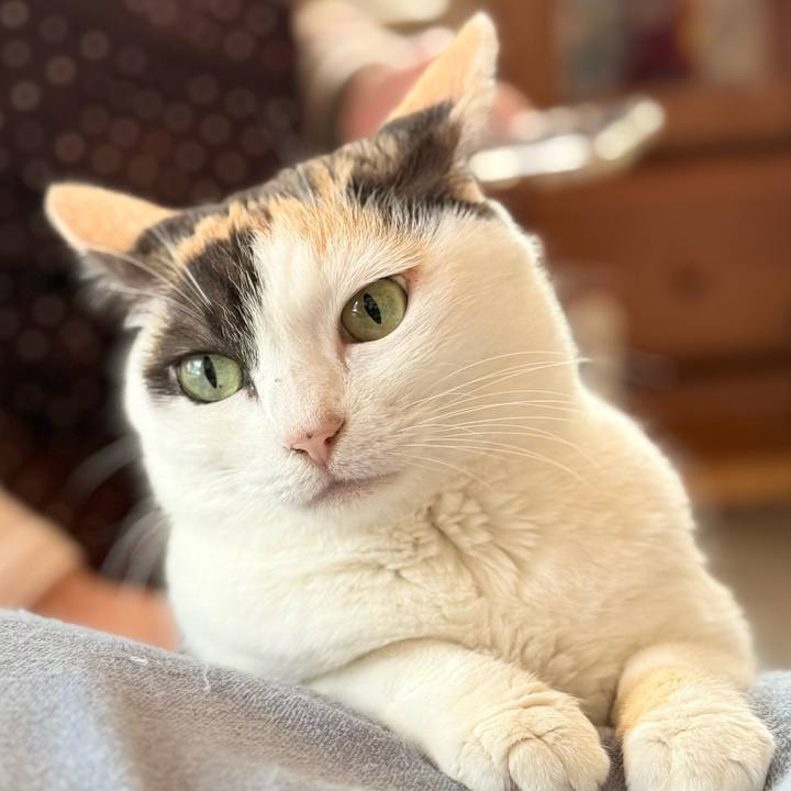 Aca096eb d46a 4c94 9738 6fc425cd78d5 1742264640430