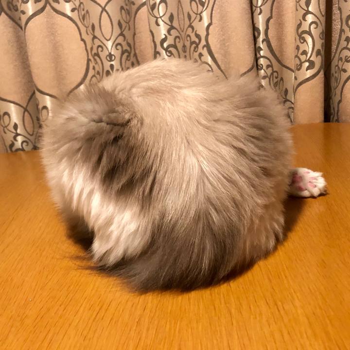 Aca0b5a3 79d9 4e67 a835 ce1ed53dbc16 1569330280602