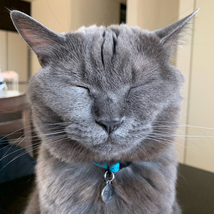 Aca0cd90 0c96 40a0 9003 5f3222209eb6 1592005525019