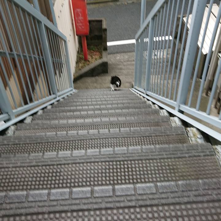 Aca10582 eb28 4fc9 b985 871c8975a21a 1571628364721