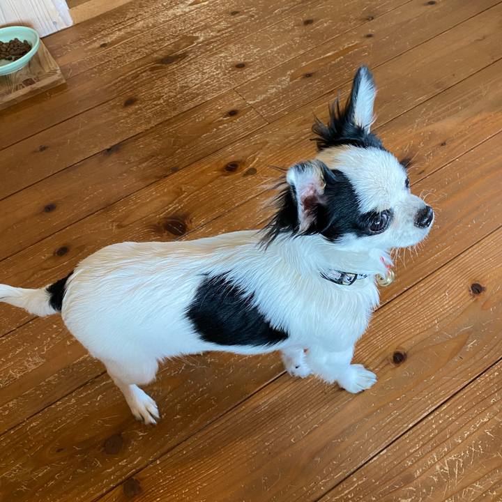 Aca112f3 f6d3 434d adf3 d164ec920bfe 1584687801320