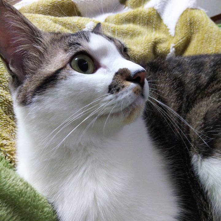 Aca12507 7223 4263 837c dbc81fb078b0 1643715390773