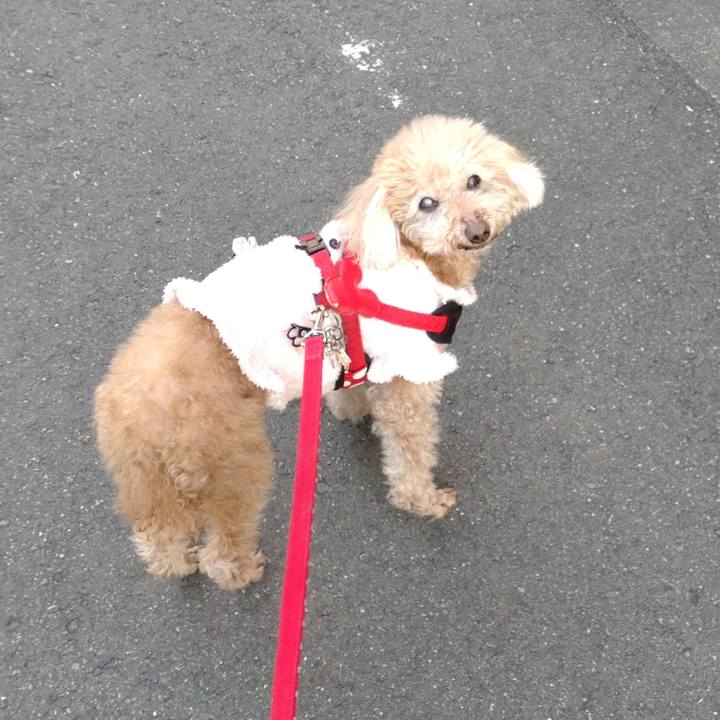 Aca12924 f64b 46c0 9544 914135d429bc 1672473435296