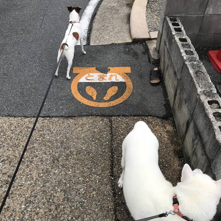 Aca15b8e 9207 4054 b238 081ff8217ce9 1510447805024