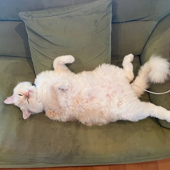 Aca178a5 d1a6 4247 88a0 5262e1e9c798 1725416652527